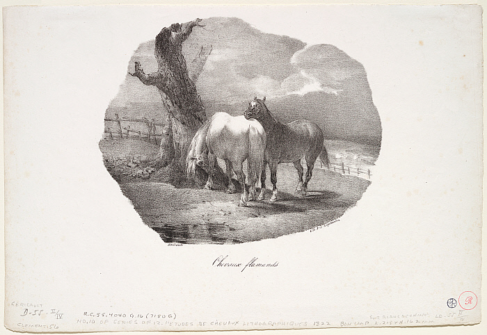 Chevaux flamands Slider Image 2